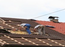 Kwikfynd Roof Conversions
evanstongardens